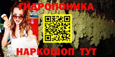дживик Ливны