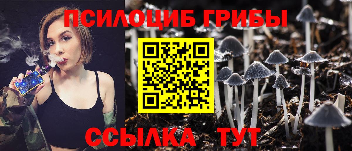 Дзержинск  Галлюциногенные грибы Psilocybe  магазин  наркотиков  Галлюциногенные грибы Cubensis  Вход с VPN 